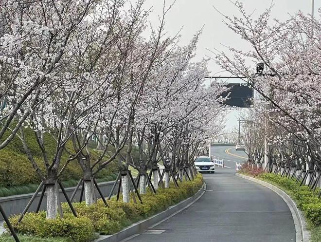 运动的季节又来了！之江喜欢骑行、夜跑的小伙伴看过来